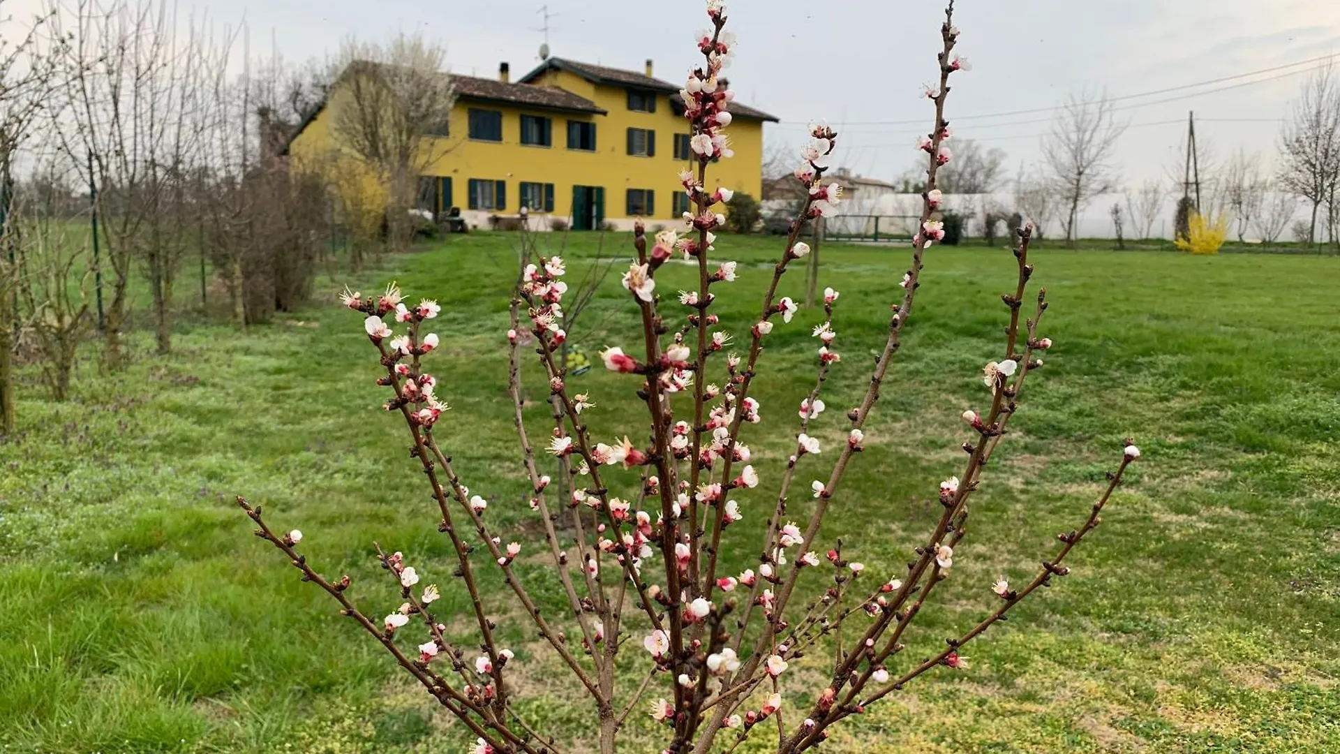 Sangiligio Countryside Villa, Private Rooms W Kitchen, Bath, Private Entrance, Crema Couette-café